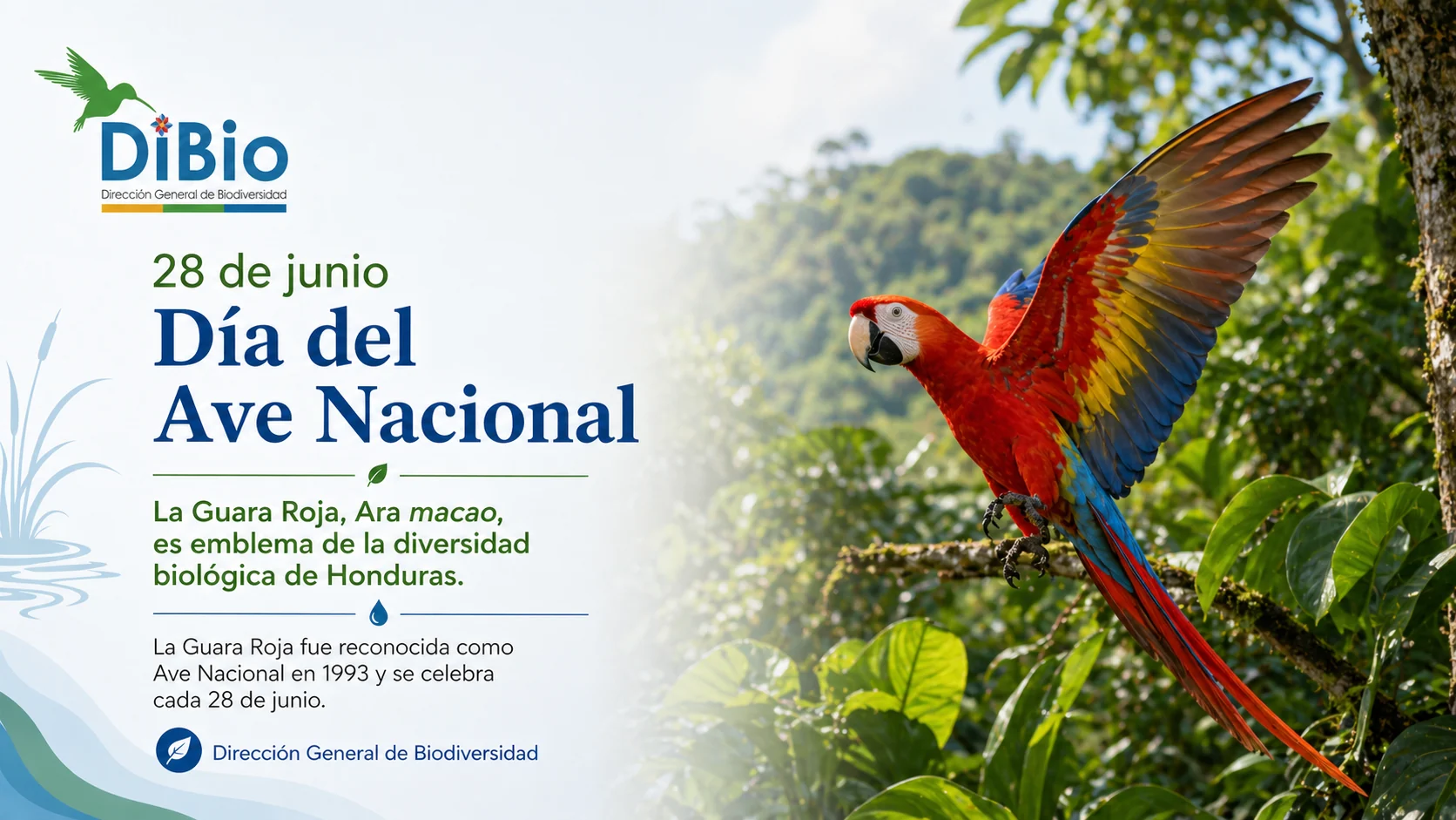 Día del Ave Nacional